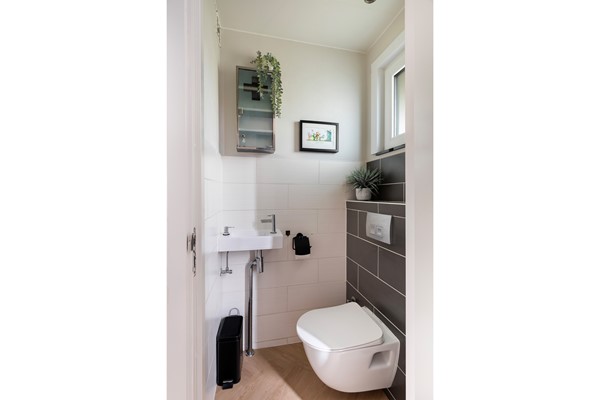 Wittenstein 216-12.jpg